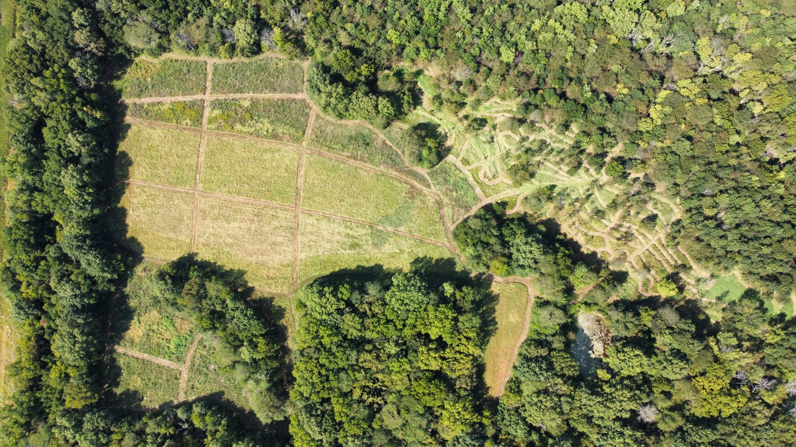 Sandy Run’s Newest Field Pasture Field 2.0 Sandy Run Hunt Co.