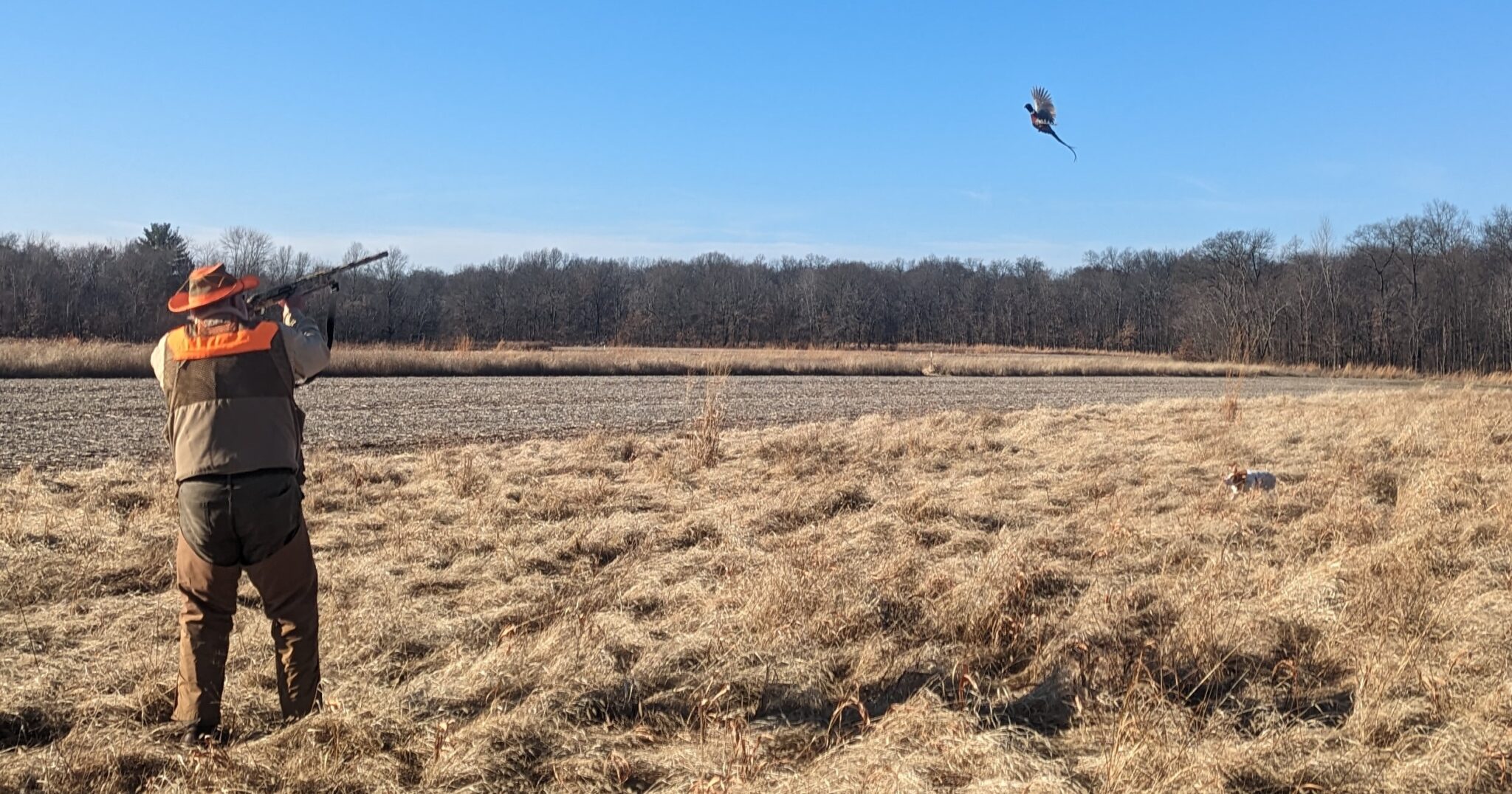 Sandy Run Field Report January 11th, 2023 Sandy Run Hunt Co.